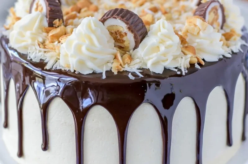 Delicious Almond Joy Layer Cake with chocolate, coconut, and almonds