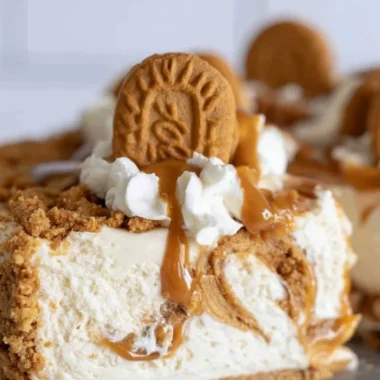 Delicious Cookie Butter No Bake Cheesecake topped with whipped cream and cookie crumbs