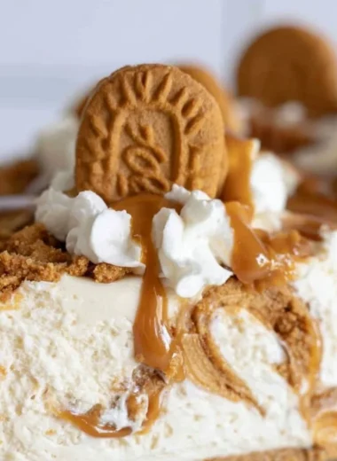 Delicious Cookie Butter No Bake Cheesecake topped with whipped cream and cookie crumbs