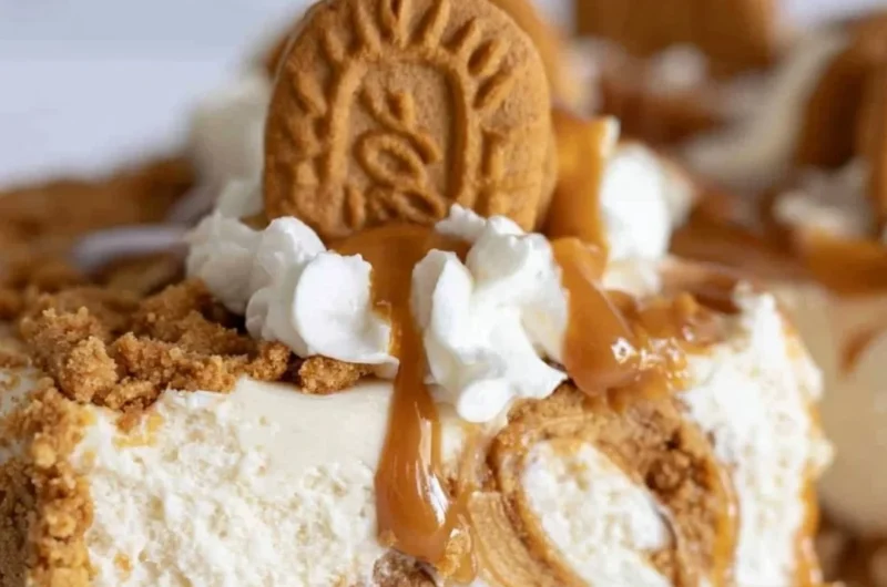 Delicious Cookie Butter No Bake Cheesecake topped with whipped cream and cookie crumbs