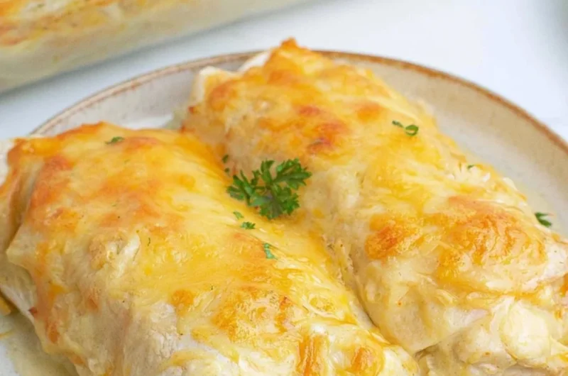 Creamy white chicken enchiladas topped with cheese and cilantro