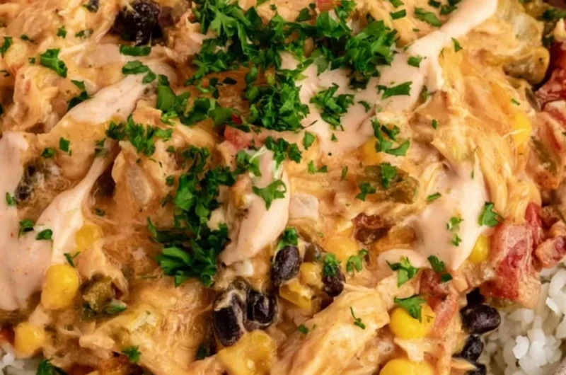 Delicious Party Chicken recipe for festive gatherings and celebrations